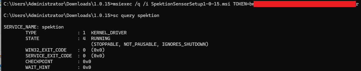 Spektion MSI installation with a TOKEN argument